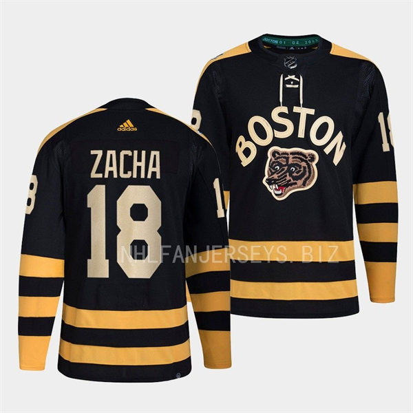  Mens Boston Bruins #18 Pavel Zacha 2023 Winter Classic Player Jersey Black 
