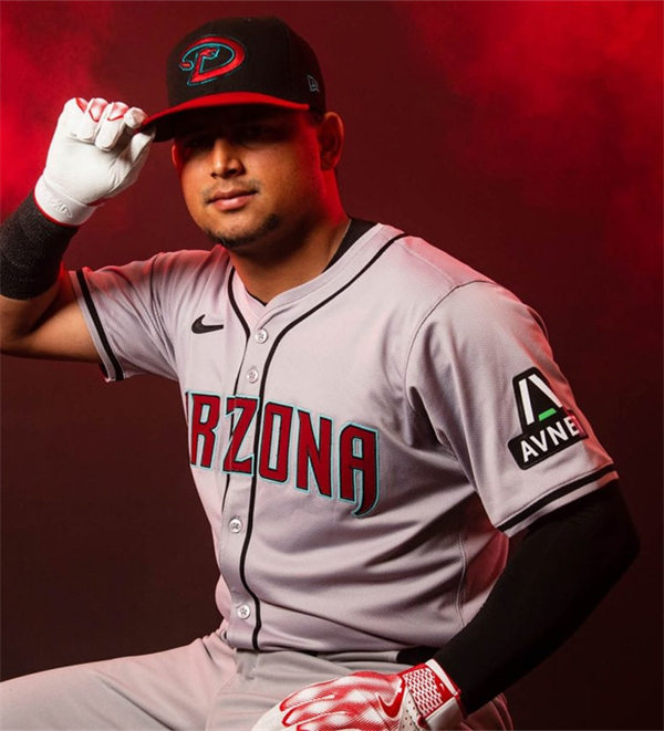  Mens Youth Arizona Diamondbacks Custom Nike 2024 Gray Road Vapor Premier Elite AVNET Patch Jersey 