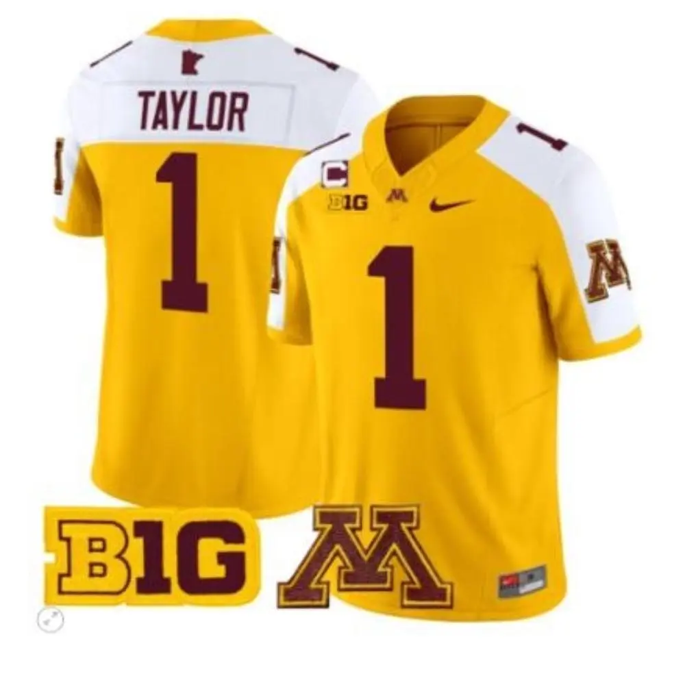  Minnesota Golden Gophers #1 Darius Taylor II Gold White Gratitude F.U.S.E. Limited Football Jersey 