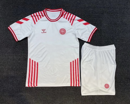 Customized Men Denmark Soccer Jerseys