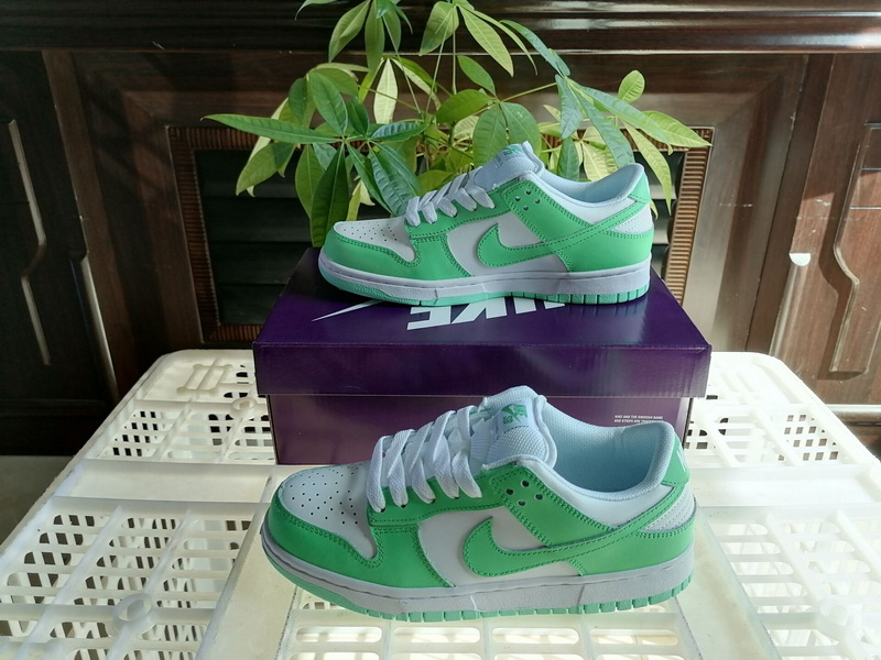 Nike SB Dunk Low Men Shoes 556