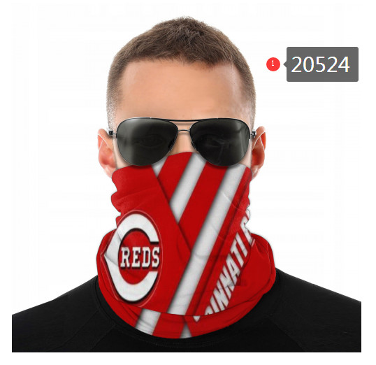 20524