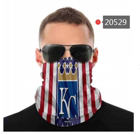 20529