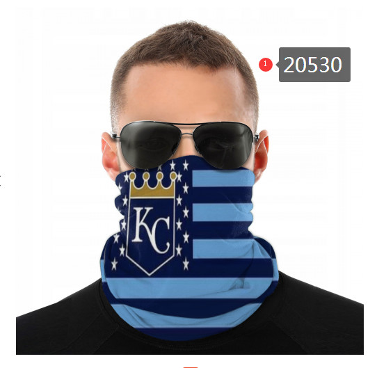 20530