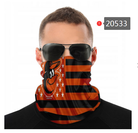20533