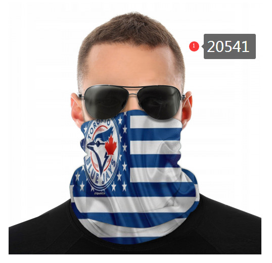 20541