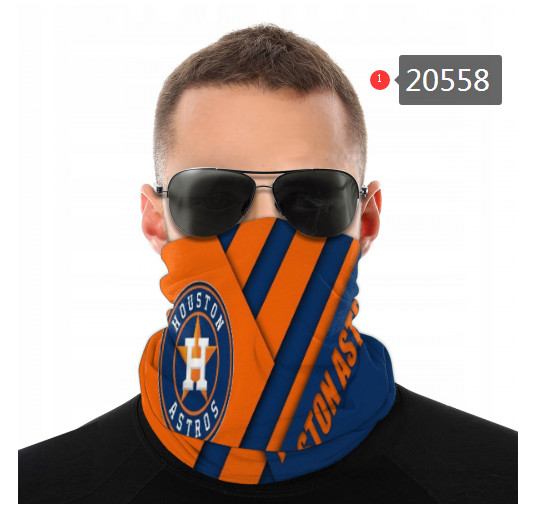 20558