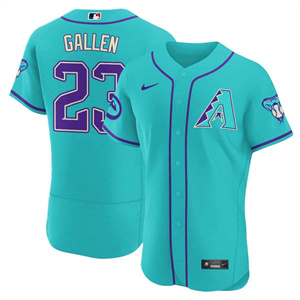 Arizona Diamondbacks 2024 Flex Base baseball  Jersey – All Stitched #23 Zac Gallen