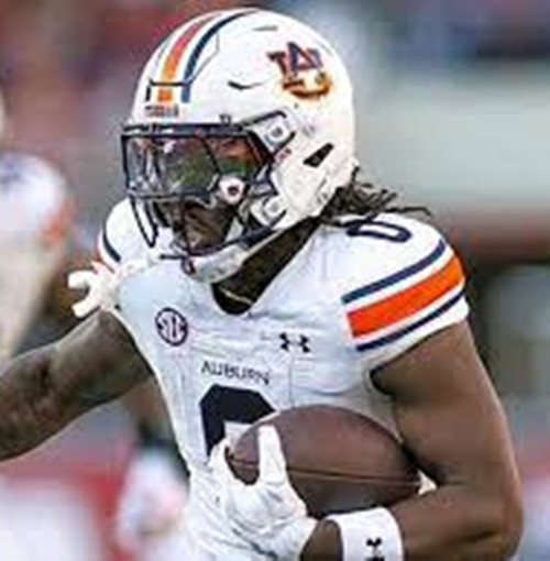 Auburn Tigers #0 Damari Alston 2025 Nike White Football Game Jersey 