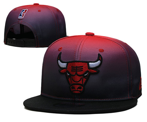 Bulls Snapback Hat--YD