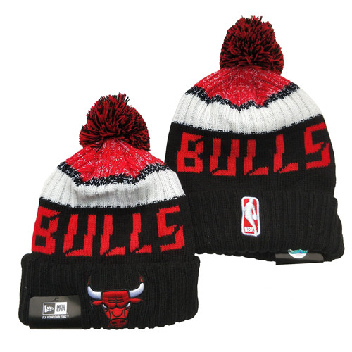 Bulls Team Logo Knit Hat YD
