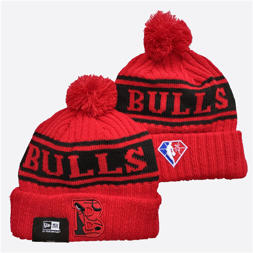 Bulls Team Logo Red Knit Hat YD