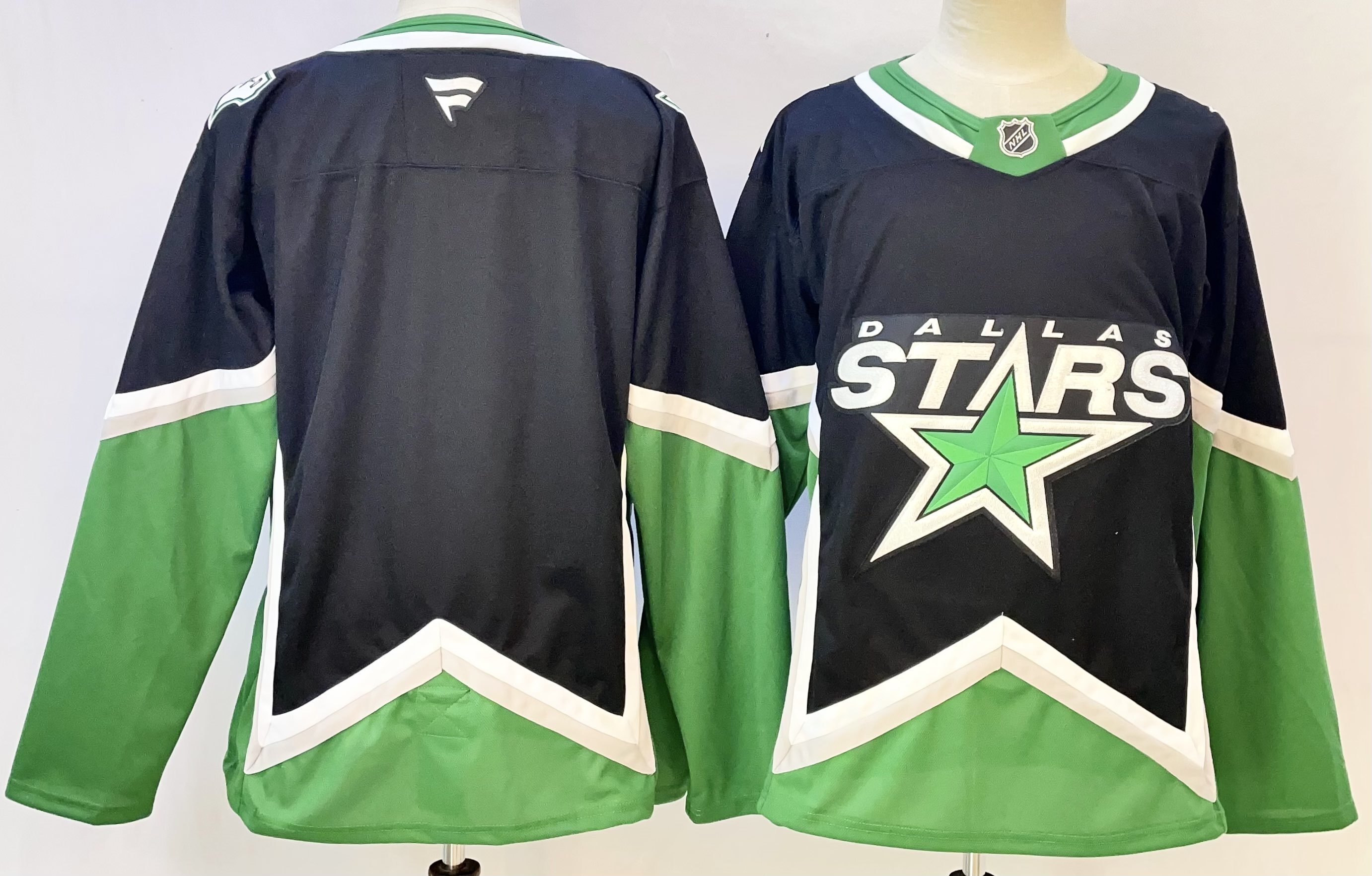 Dallas Stars blank