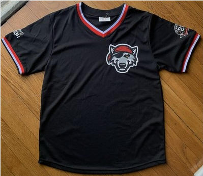 Erie SeaWolves SGA Jersey MiLB Adult Medium Pullover 20th Anniversary