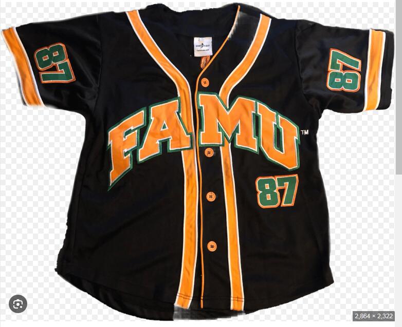 Famu Baseball Jersey 2025