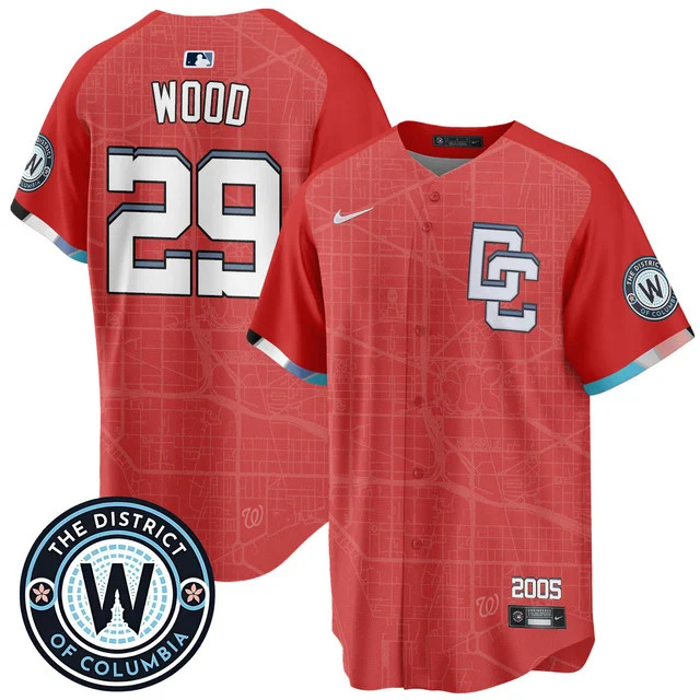Men's Washington Nationals 2025 City Connect Limited Jersey REN #29 WOOD