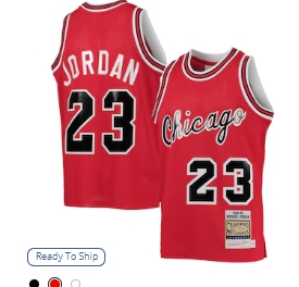 Michael Jordan Chicago Bulls Mitchell & Ness Youth 1984   85 Hardwood Classics Authentic Jersey - Red