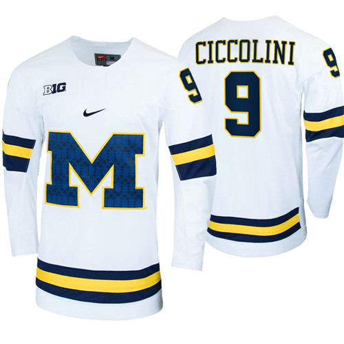 Michigan Wolverines Brendan Morrison Alumni College Hockey Jersey White