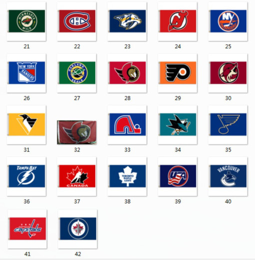 NHL Flag Size 3X5Ft Please email us the  number on the picture (2)