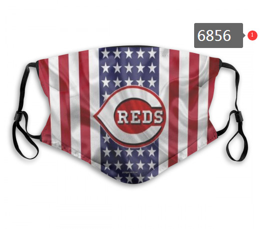Reds PM2.5 Mask with Filter Double Protection  (1)