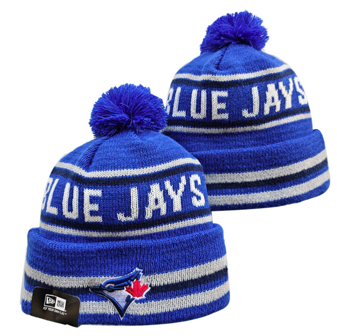 Toronto Blue Jays hat10