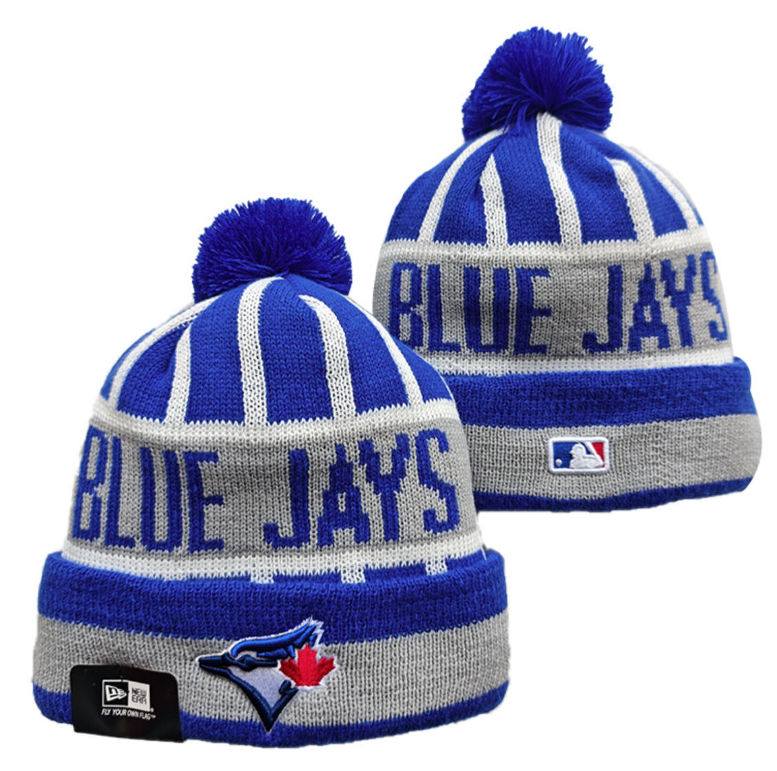 Toronto Blue Jays hat11