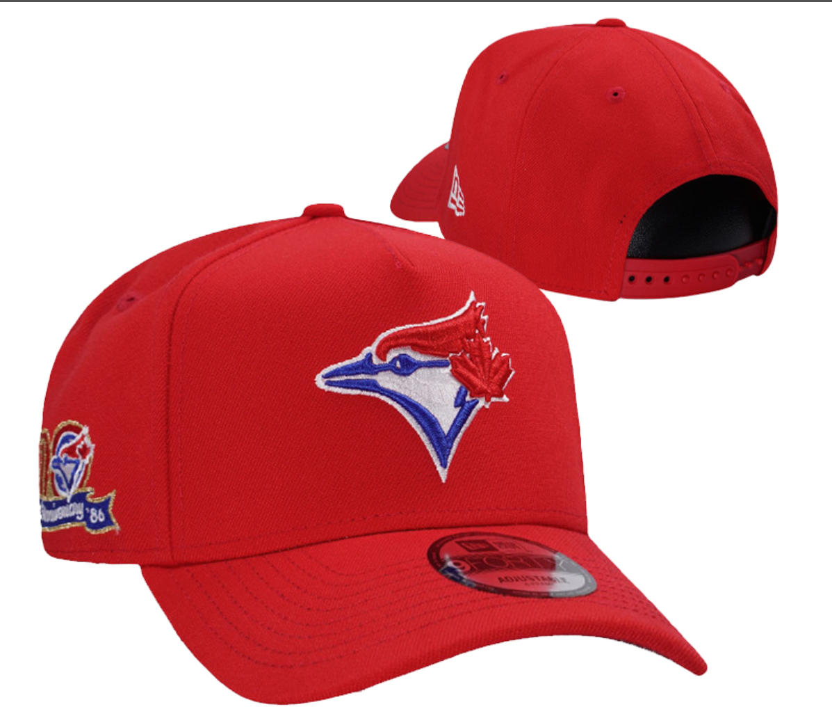 Toronto Blue Jays hat12