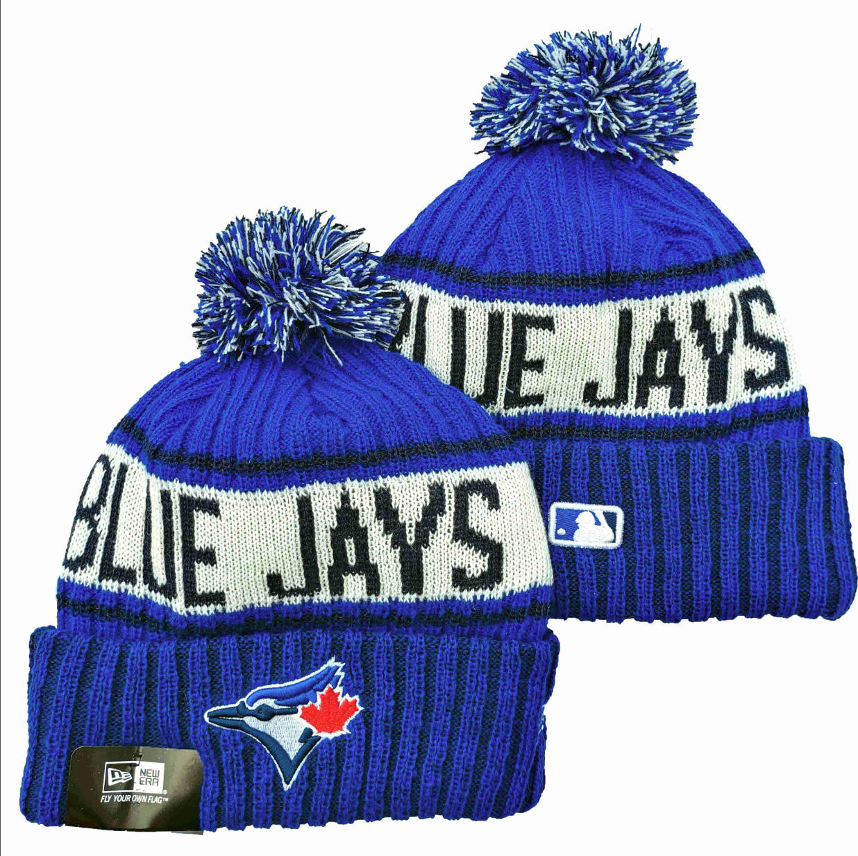 Toronto Blue Jays hat7