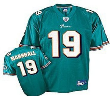 miami dolphins #19 brandon marshall youth green jersey